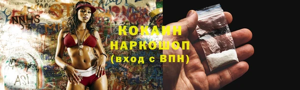 тгк Абаза