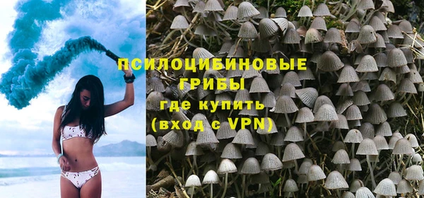 тгк Абаза
