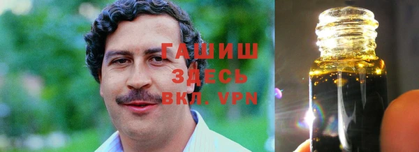 тгк Абаза